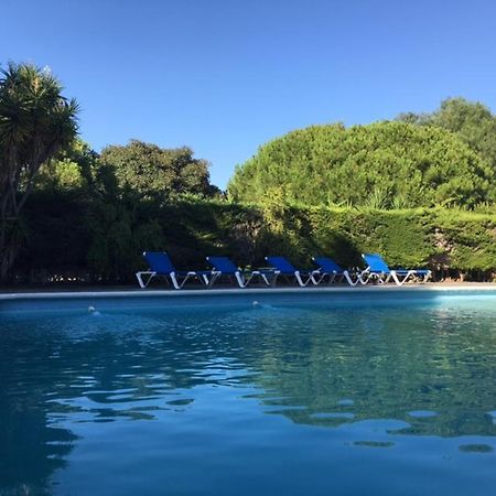 Villa Torrealta, 4000 M2 カディス エクステリア 写真