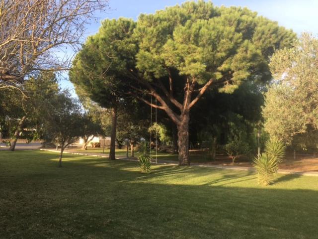 Villa Torrealta, 4000 M2 カディス エクステリア 写真